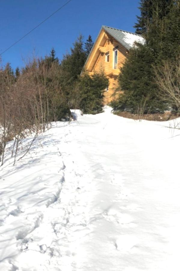 Almhauser Alpenchalet Grabner Alm Am Praebichl מראה חיצוני תמונה