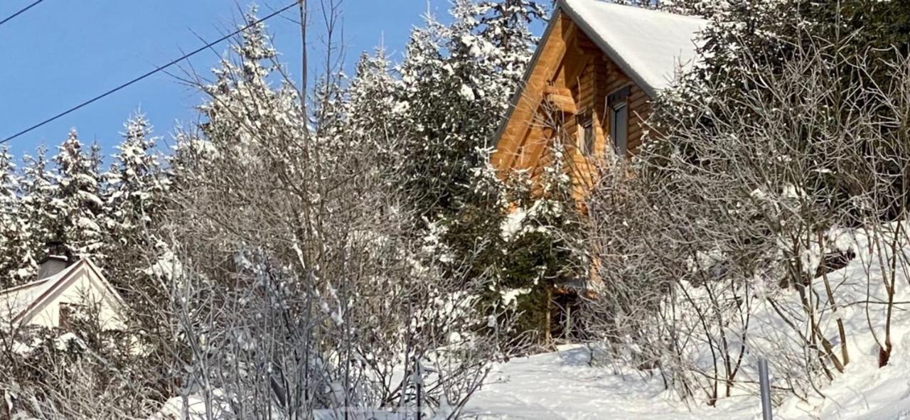 Almhauser Alpenchalet Grabner Alm Am Praebichl מראה חיצוני תמונה
