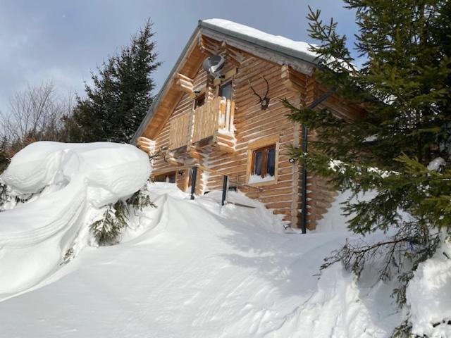 Almhauser Alpenchalet Grabner Alm Am Praebichl מראה חיצוני תמונה