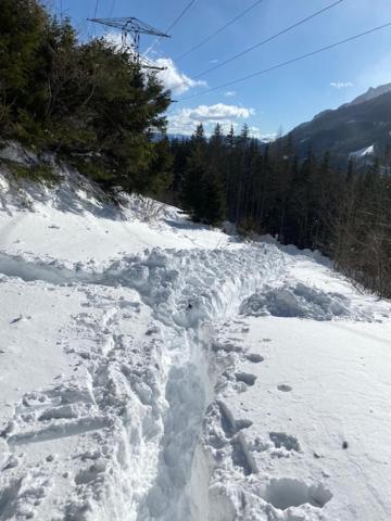 Almhauser Alpenchalet Grabner Alm Am Praebichl מראה חיצוני תמונה